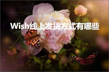 璺ㄥ鐢靛晢鐭ヨ瘑:Wish绾夸笂鍙戣揣鏂瑰紡鏈夊摢浜? width=