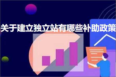 璺ㄥ鐢靛晢鐭ヨ瘑:鍏充簬寤虹珛鐙珛绔欐湁鍝簺琛ュ姪鏀跨瓥