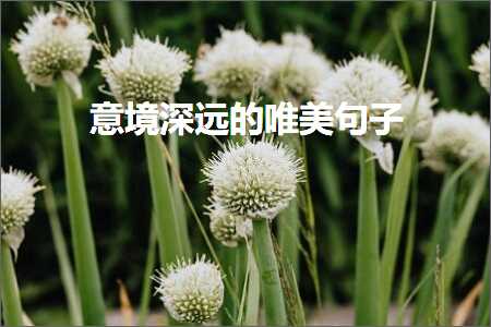 鎰忓娣辫繙鐨勫敮缇庡彞瀛愶紙鏂囨577鏉★級