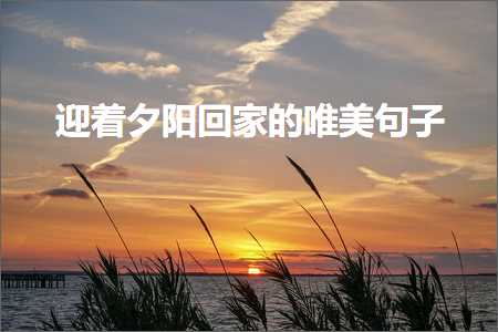 迎着夕阳回家的唯美句子（文案913条）